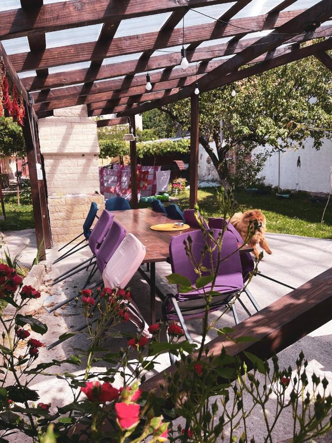 Apartament Yard Studio Rasnov Zewnętrze zdjęcie