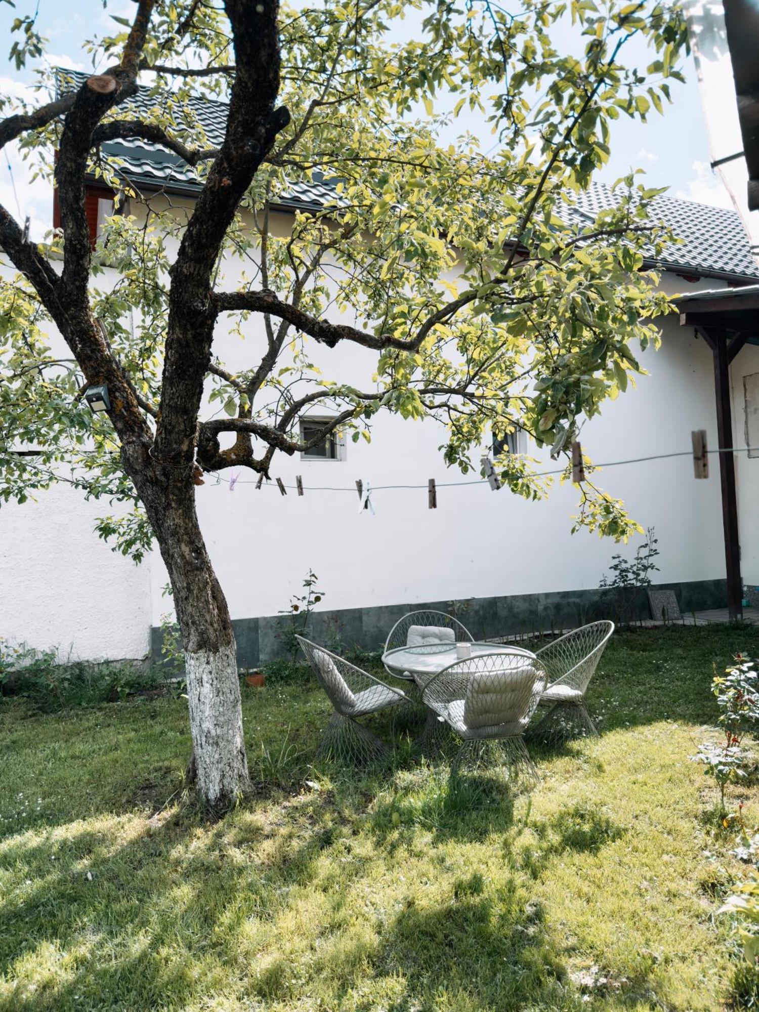 Apartament Yard Studio Rasnov Zewnętrze zdjęcie