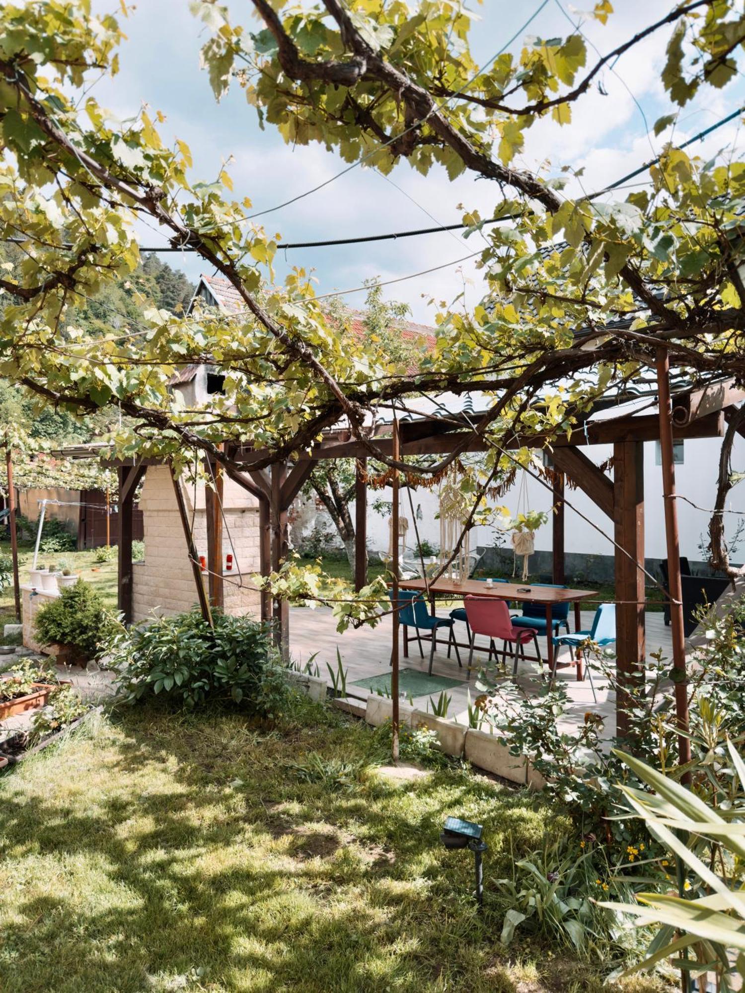 Apartament Yard Studio Rasnov Zewnętrze zdjęcie