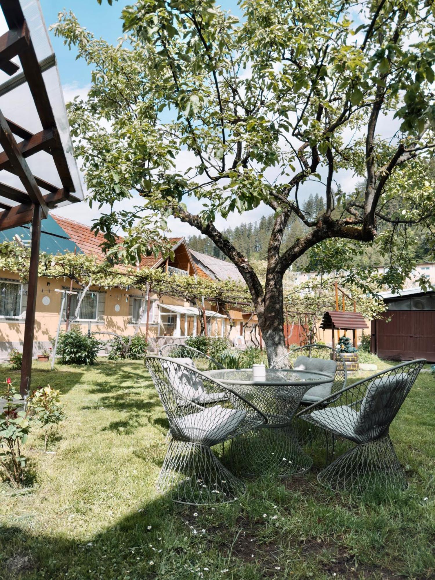 Apartament Yard Studio Rasnov Zewnętrze zdjęcie