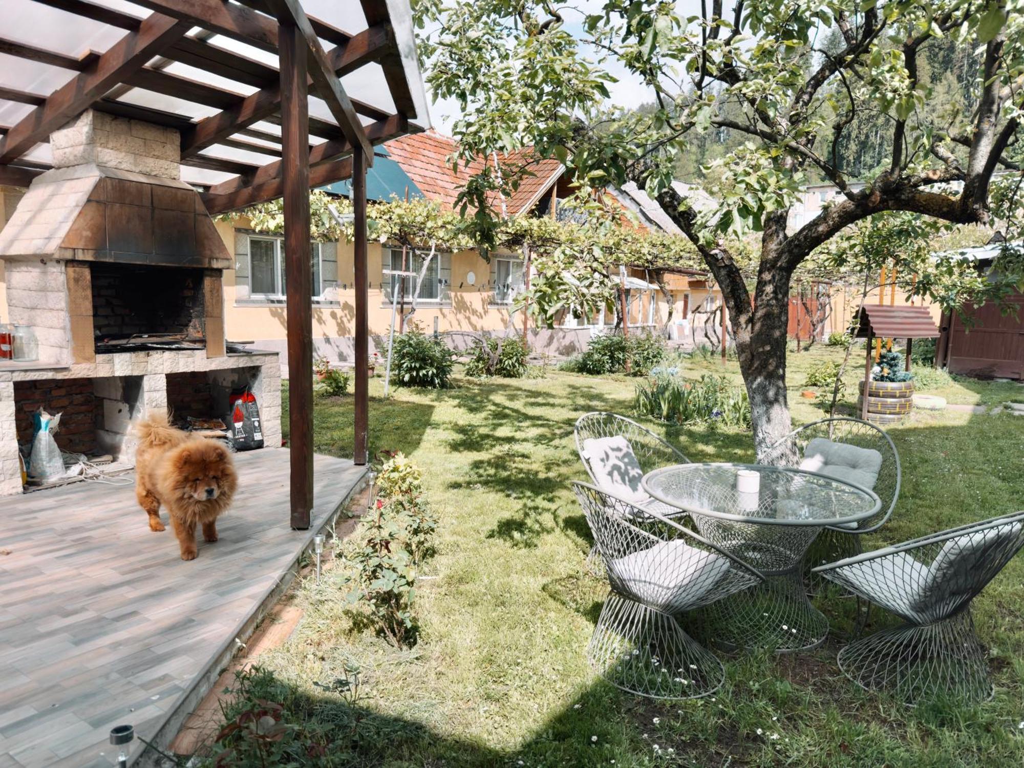 Apartament Yard Studio Rasnov Zewnętrze zdjęcie