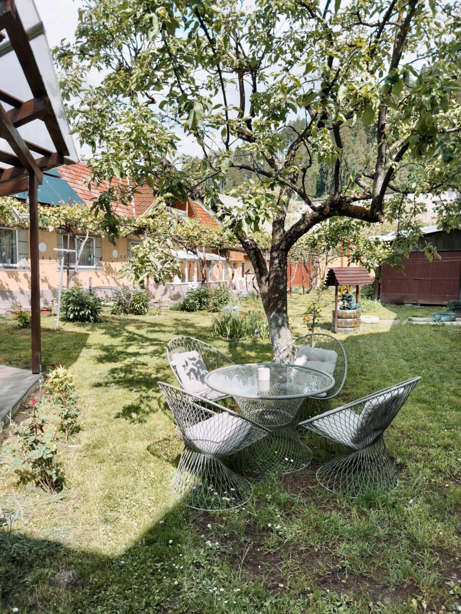 Apartament Yard Studio Rasnov Zewnętrze zdjęcie